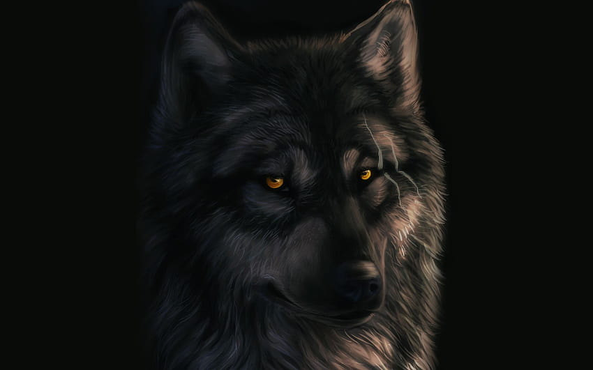 Les 4 meilleurs Blackwolf sur la hanche, anime de loup noir Fond d'écran HD