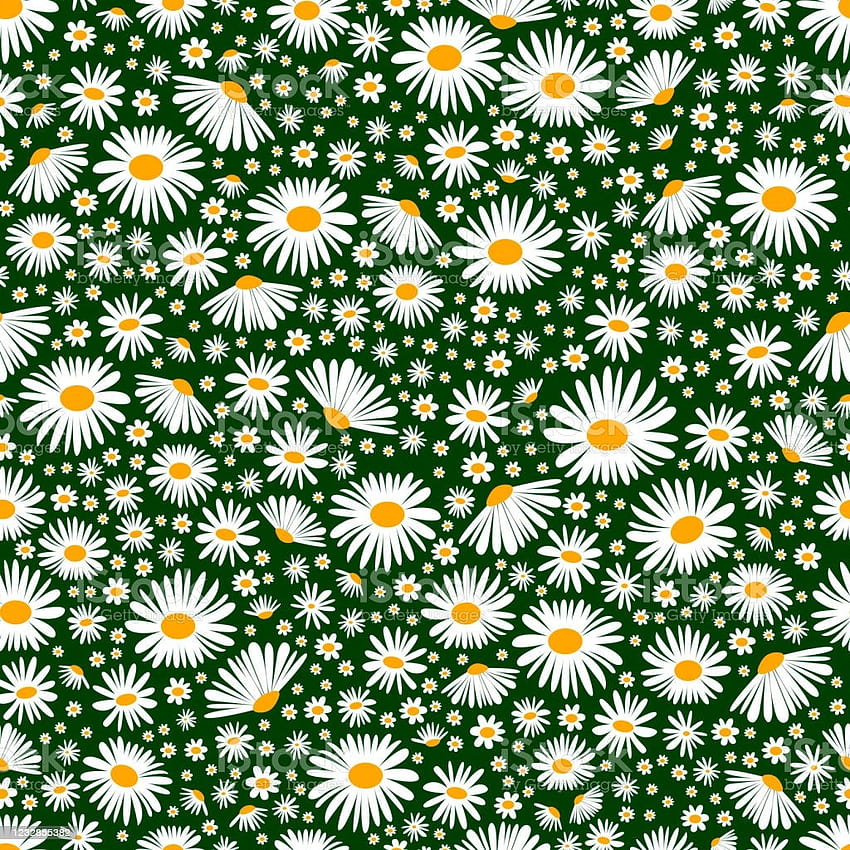 Field Chamomiles Seamless Floral Backgrounds Vector Daisy Meadow Spring Summer Flowers Texture Trendy Ditsy Floral For Print Fashion Textile Fabric Decoration Wrapping Stock Illustration, vector spring meadow HD phone wallpaper