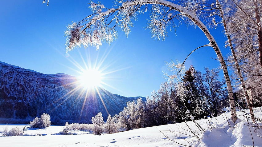 7 paisagens de inverno, paisagem de inverno papel de parede HD