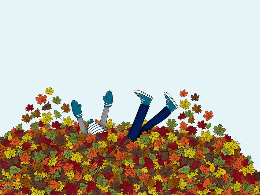 cute fall ,plant,flower,font,wildflower,floral design, autumn wildflowers HD wallpaper