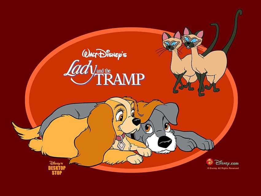 Della Knox: lady and the tramp, the lady and the tramp HD wallpaper