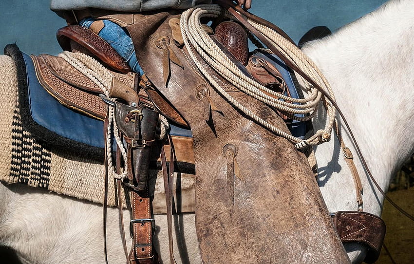 broń, koń, siodło, sekcja, siodła Tapeta HD