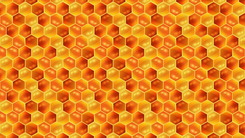 รังผึ้ง น้ำผึ้ง รูปแบบ พื้นผิว รูปแบบ รังผึ้งน่ารัก วอลล์เปเปอร์ HD