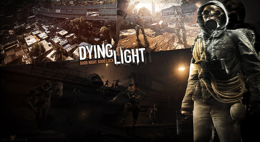 100 Dying Light Wallpapers  Wallpaperscom