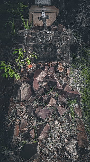 Burial Ground Under The Alamo Stirs A Texas Feud Hd Wallpaper Pxfuel 8584