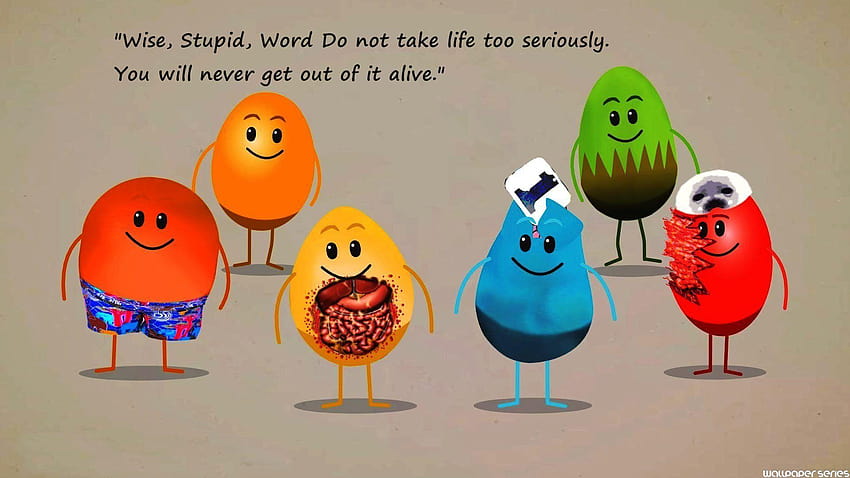 wise-stupid-word-do-not-take-funny-quotes-05871-hd-wallpaper-pxfuel