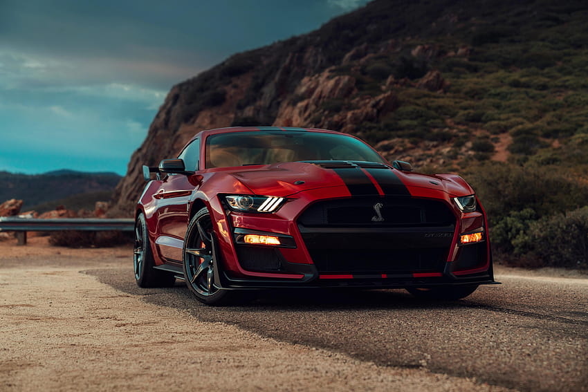 2020 Ford Mustang Shelby GT500, Cars, mustang 2020 HD wallpaper | Pxfuel