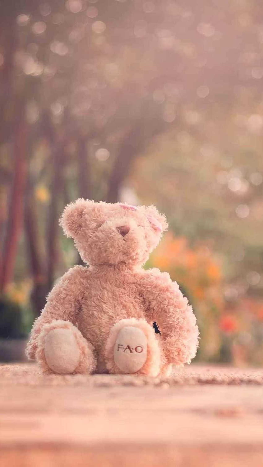 teddy bear aesthetic HD phone wallpaper