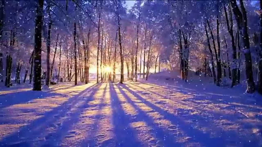 Winter Sunset Backgrounds ... tip, amazing winter sunset HD wallpaper