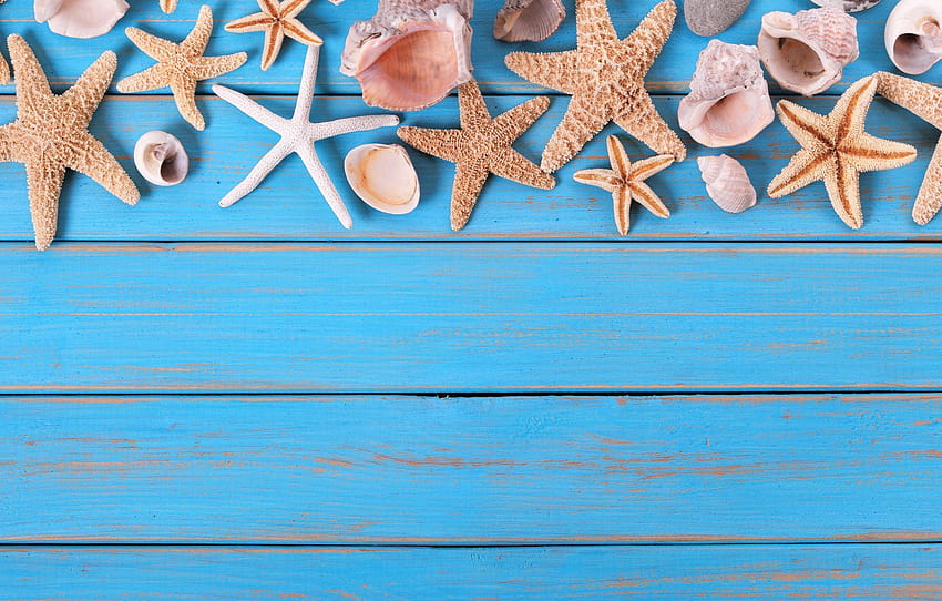 beach, background, Board, star, shell, summer, beach, wood, marine, starfish, seashells , section разное, board summer HD wallpaper