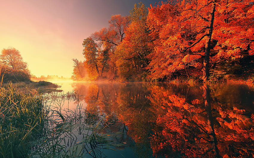 2880x1800 Trees Fall Reflection Autumn Macbook Pro Retina , Backgrounds ...
