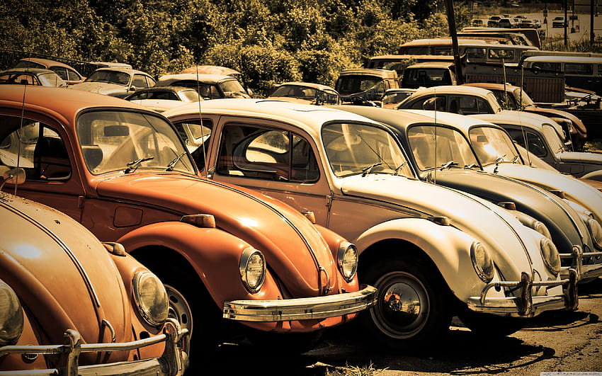 Old Volkswagen Beetle Junkyard : High HD wallpaper