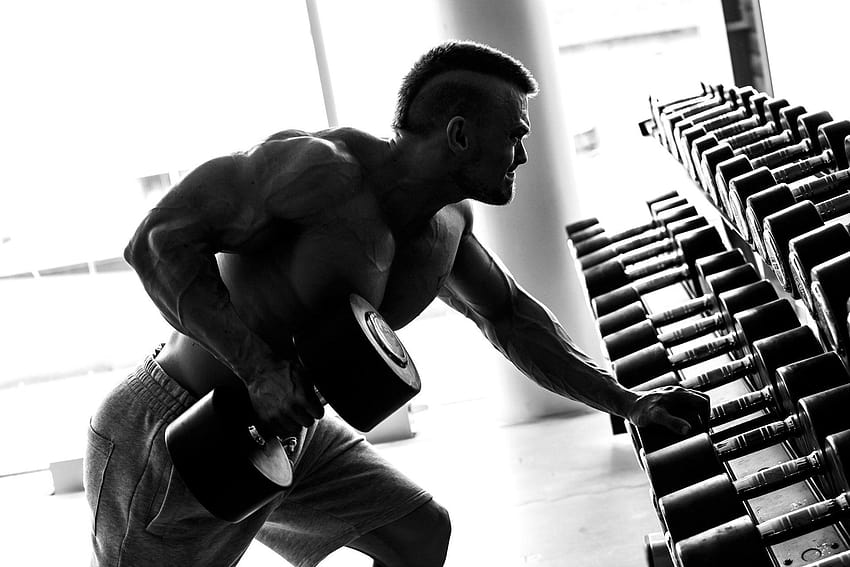 Bodybuilding muscle gym bodybuilder, bodybuilding gym HD wallpaper | Pxfuel
