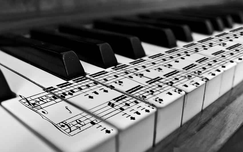 Music Piano 3 4K HD Music Wallpapers  HD Wallpapers  ID 33862