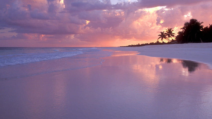 Beach Sunset High Definition, highest resolution HD wallpaper