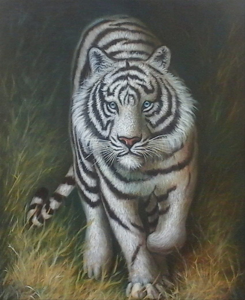 Gambar Lukisan Harimau Putih, 마칸 푸티 실리왕이 HD 전화 배경 화면