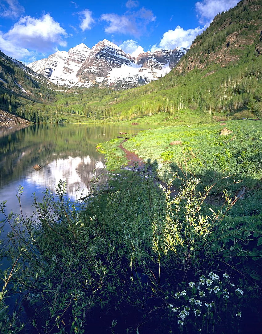 : lonceng merah marun, aspen, colorado, pegunungan, musim gugur, pegunungan elk maroon lake colorado wallpaper ponsel HD