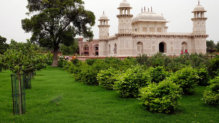 Dopo anni di abbandono, tornano a fiorire i giardini moghul di Agra, i giardini Sfondo HD