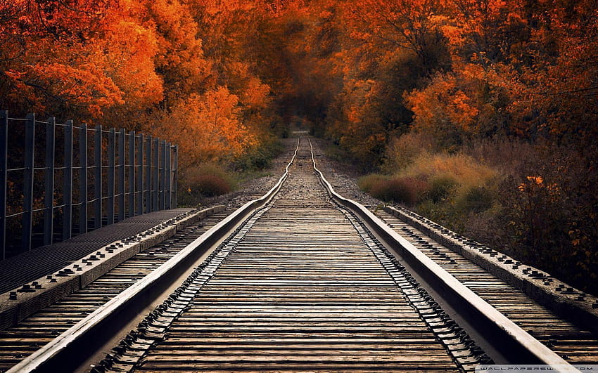 มุมมองจากสะพานรถไฟ ฤดูใบไม้ร่วง : สูง วอลล์เปเปอร์ HD