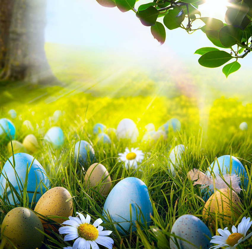 Easter Scenes Backgrounds HD wallpaper