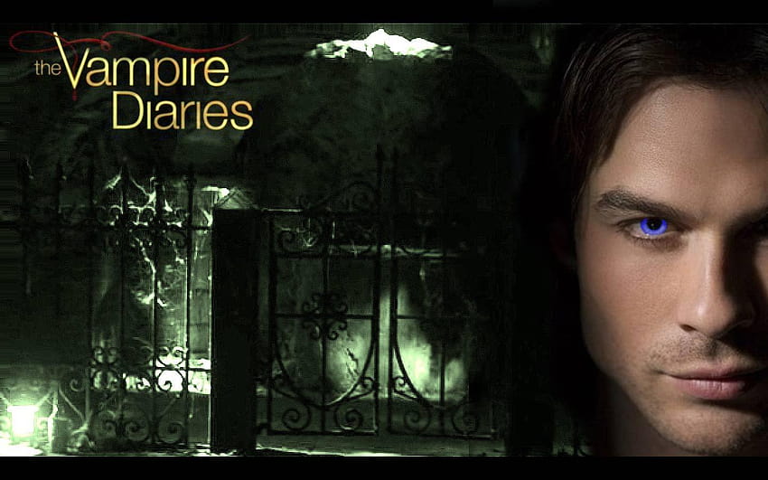 Damon´s Quotes ♥, damon salvatore quotes HD wallpaper | Pxfuel