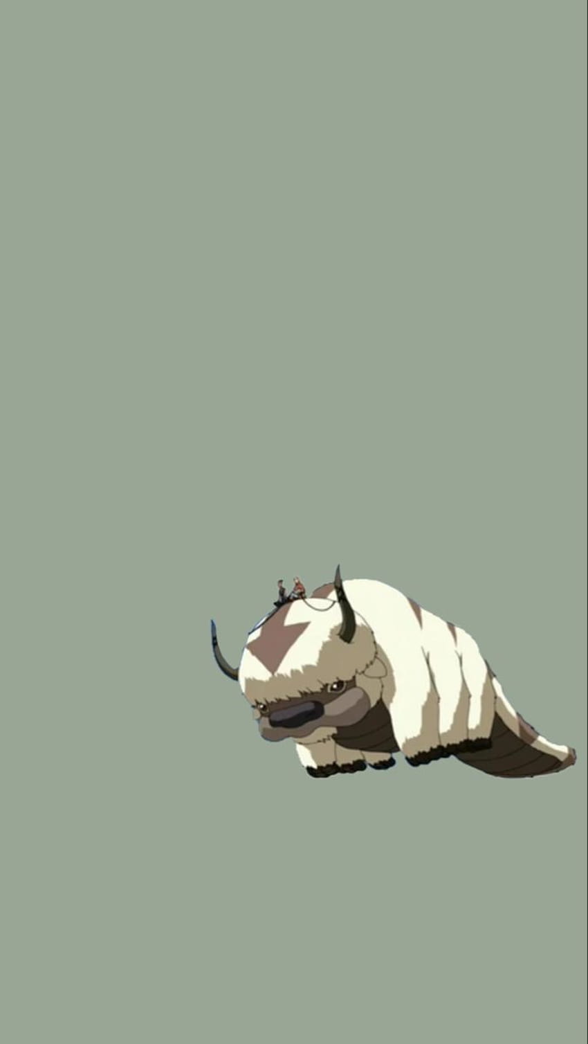 Appa Avatar Wallpapers  Top Free Appa Avatar Backgrounds  WallpaperAccess
