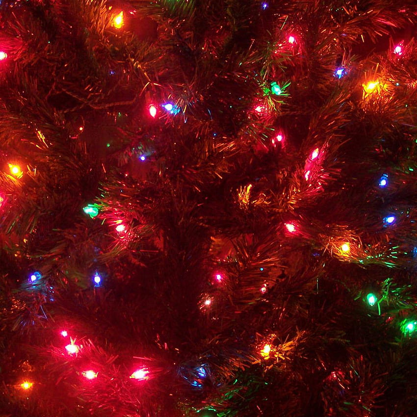 Christmas Tree iPad, christmas lights ipad HD phone wallpaper | Pxfuel