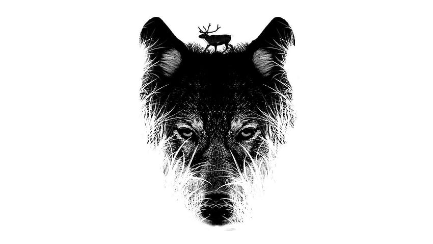 zedge ,black and white,dog breed,snout,canidae,carnivore, minimalist wolf HD wallpaper