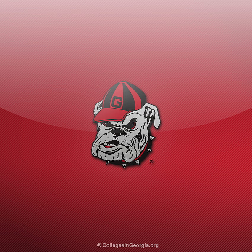 Georgia Bulldogs HD Phone Wallpaper | Pxfuel