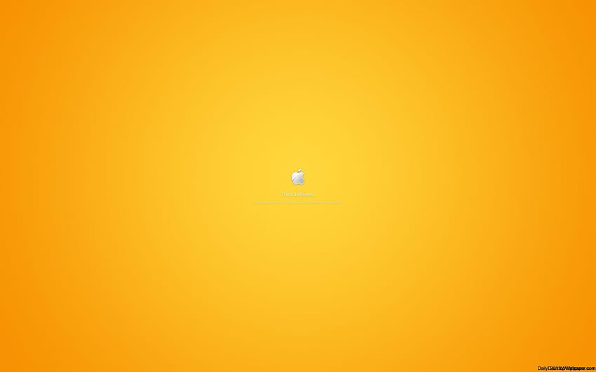Yellow Bright Backgrounds by zurabi VideoHive – Mixed catch, yellow vsco HD wallpaper