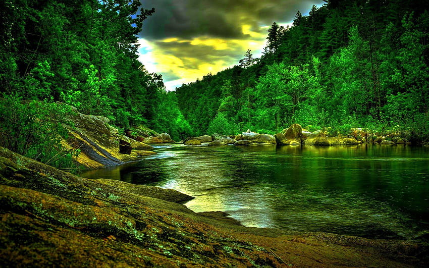 Jungle River , Completo , Mejor Jungle River fondo de pantalla