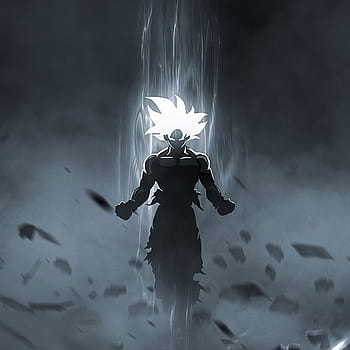 In Dragon Ball Super is Gokus white hair form called Mastered Ultra  Instinct Perfect Ultra Instinct Completed Ultra Instinct Super Saiyan  White or Goku blanco  Quora