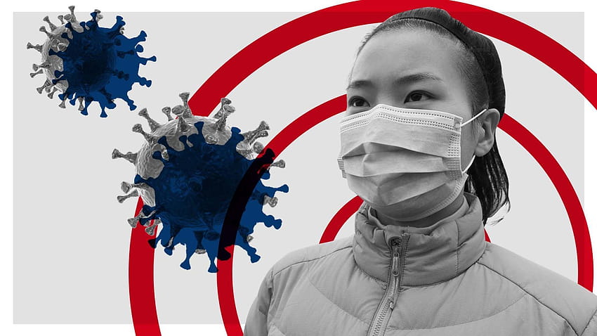Researchers Trace Coronavirus Outbreak in China to Snakes ..., corona virus HD wallpaper