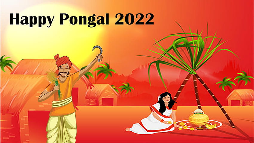 Happy pongal wishes HD wallpapers | Pxfuel