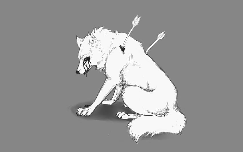Wolf drawing anime sad HD wallpapers | Pxfuel