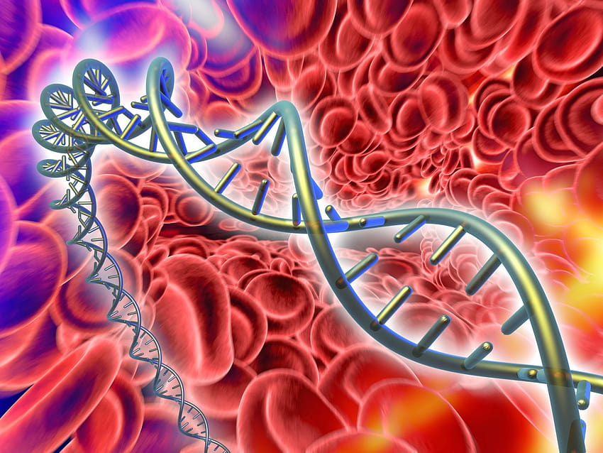 La regulación epigenética es clave para la formación diaria de miles de millones de células sanguíneas fondo de pantalla