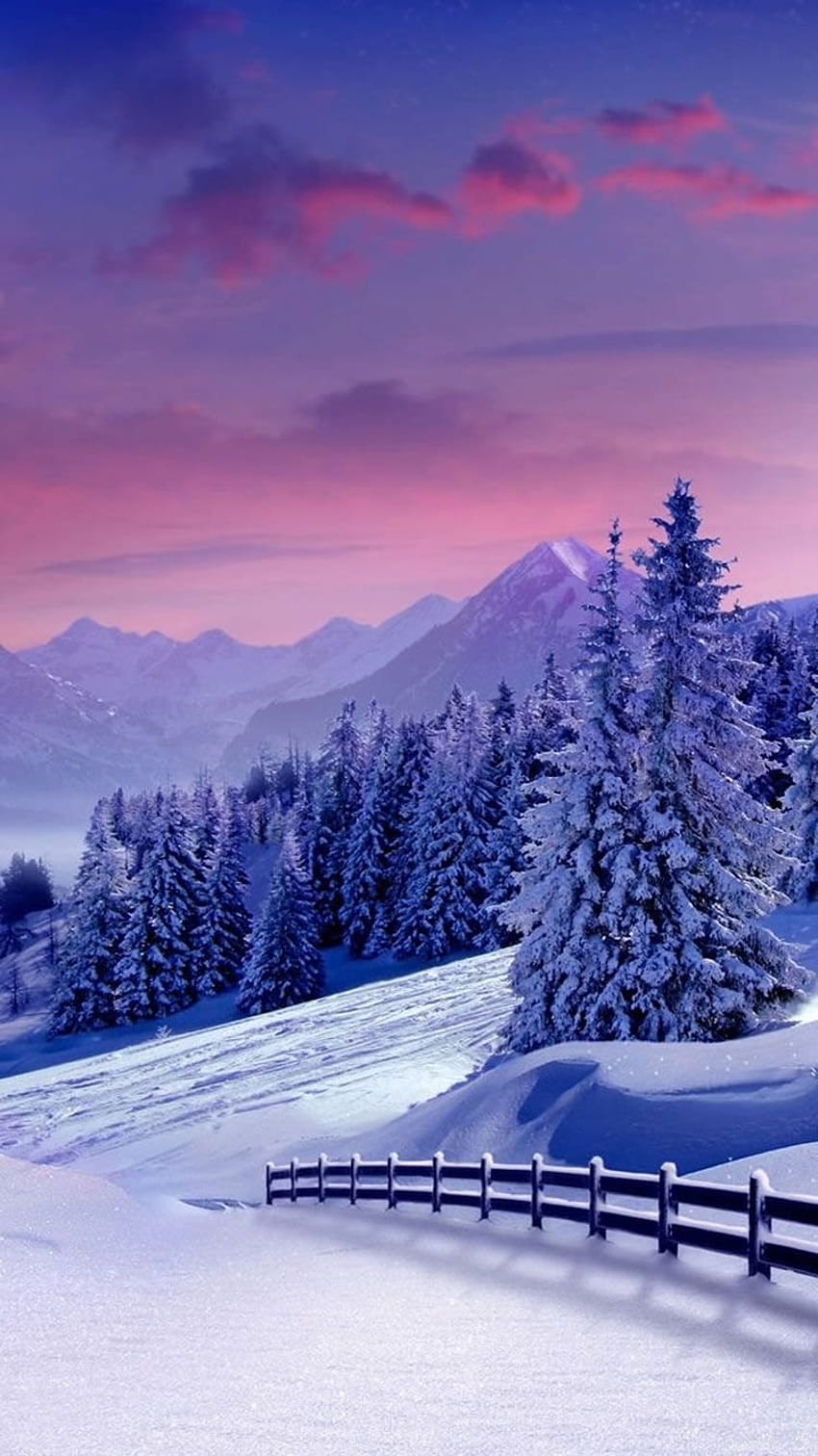 beautiful winter wallpaper moon on winter nights  Truly Hand Picked
