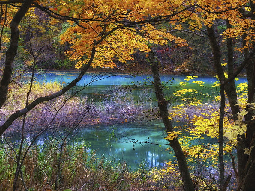 Blue Lake Goshikinuma Fukushima Japan Autumn Scenery Landscape Nature Ultra For Mobile Phones And Laptop 3840x2400 : 13, japan lake autumn HD wallpaper