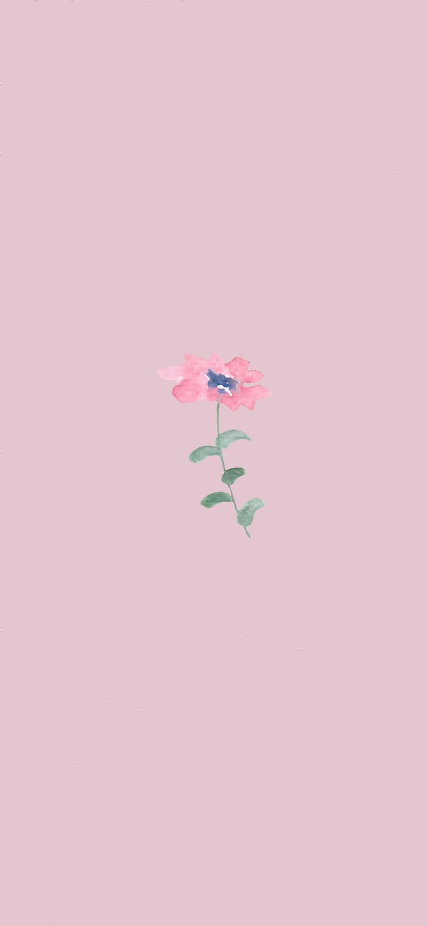 35 Pink Aesthetic : Pink Flower, aesthetic spring pink HD phone ...