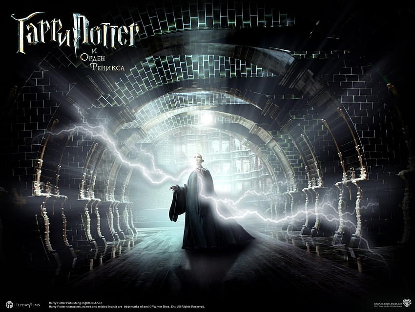 Harry Potter Harry Potter and the Order of the Phoenix Movies HD wallpaper