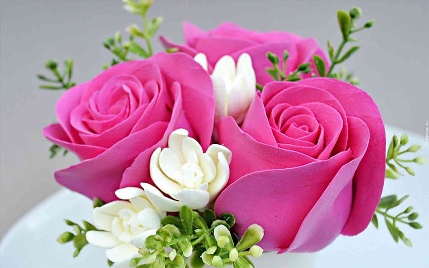 Of Pink Rose For Full Size Roses Flowers High, flowers for full size HD  wallpaper | Pxfuel