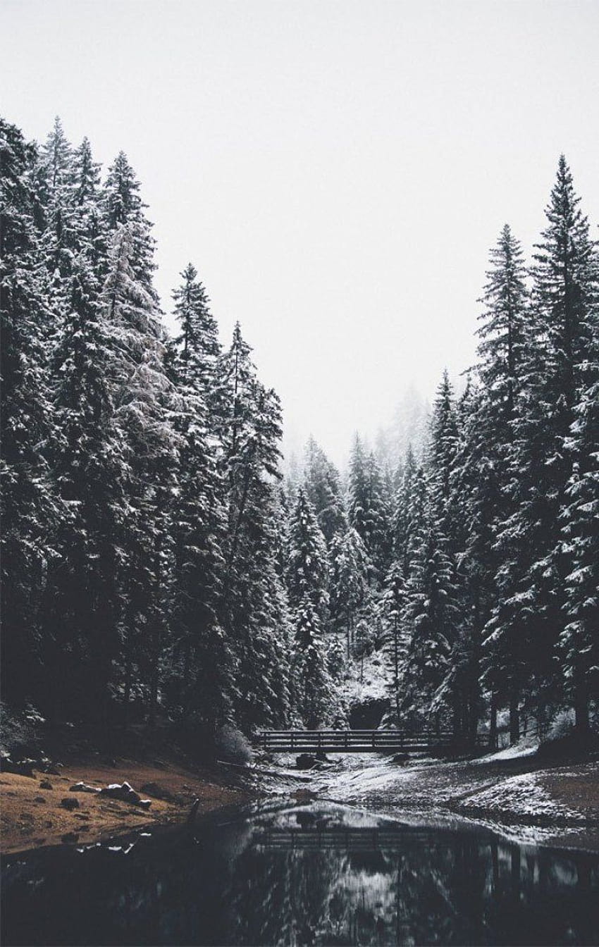 Winter Aesthetic  Background Wallpaper Download  MobCup
