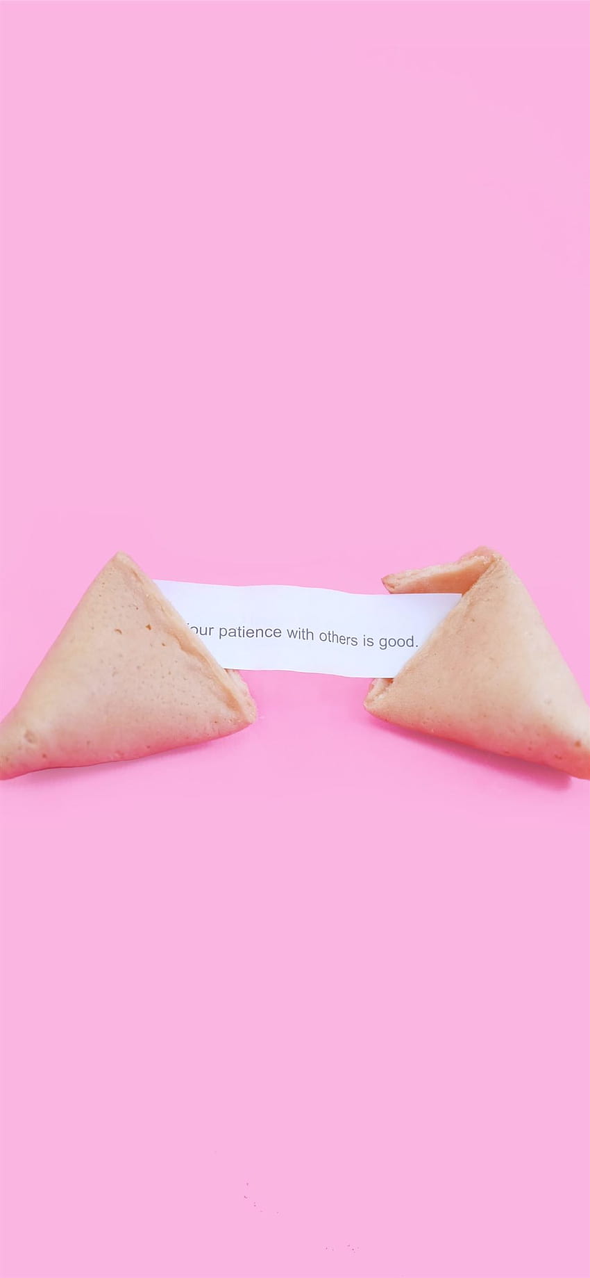 fortune cookie with Patience with others is good m... iPhone 12, aesthetic cookies HD phone wallpaper