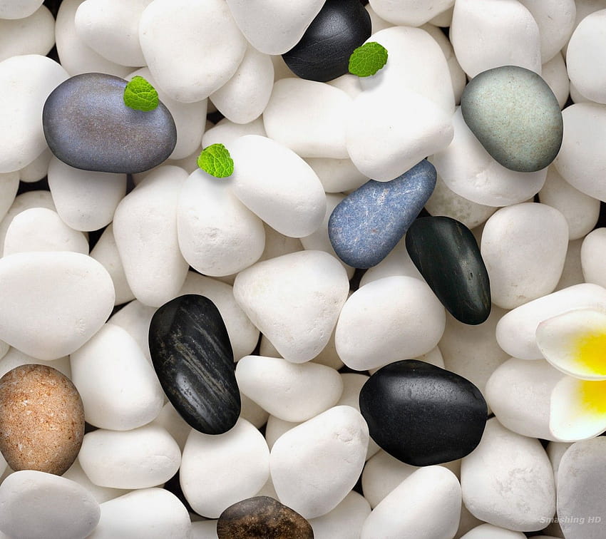 White Pebbles, white stone HD wallpaper