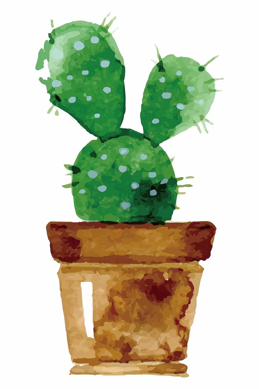 Cactaceae Watercolor Painting Drawing Succulent Plant, colorful cactuses aesthetic HD phone wallpaper