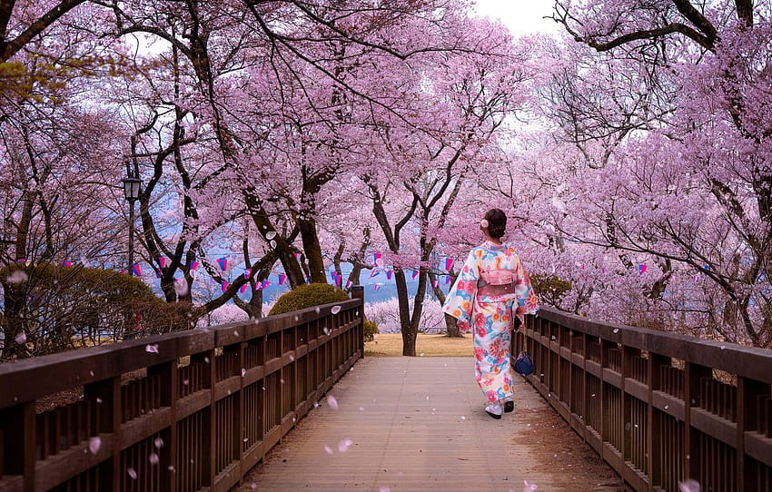 Дървета, парк, жена, японка, пролет, токио пролет HD тапет