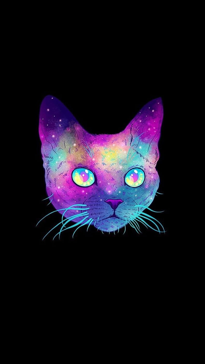 Free download Neon Cat Photography 3D and Fractal Pinterest 638x960 for  your Desktop Mobile  Tablet  Explore 30 Neon Cat Wallpapers  Neon  Wallpapers Wallpaper Neon Cat Backgrounds