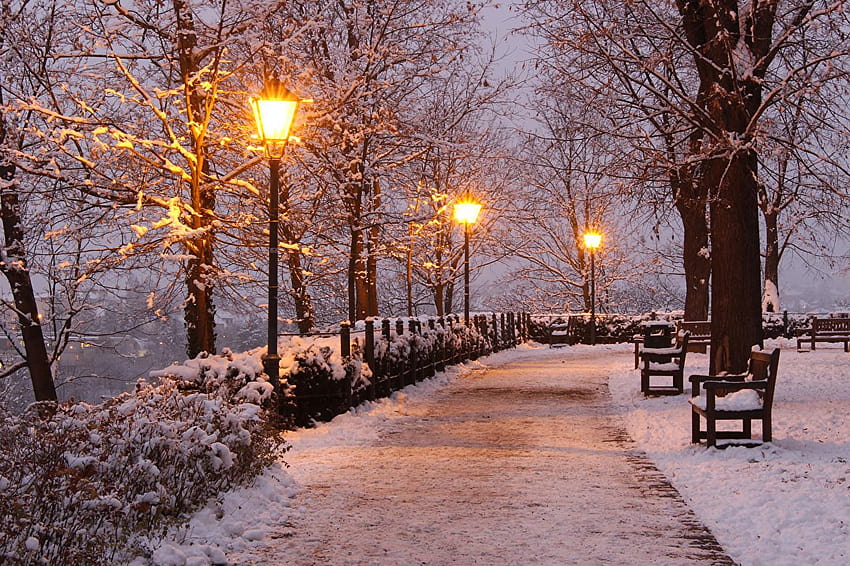 Republik Ceko Brno Nature Winter Snow Park Bangku Sore, malam musim dingin Wallpaper HD