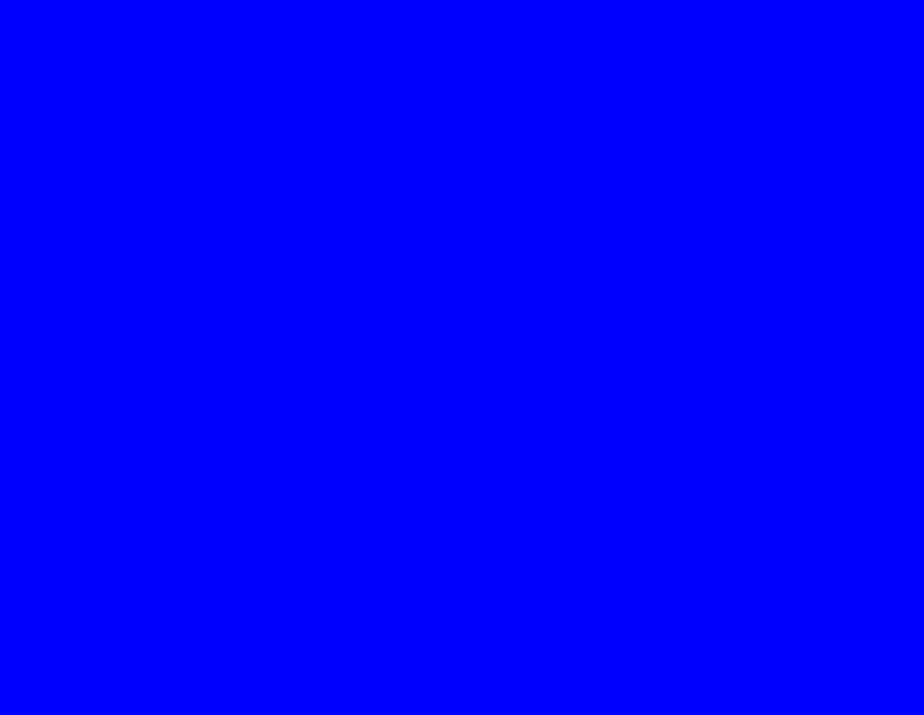 Warna Murni pada Anjing, biru murni Wallpaper HD