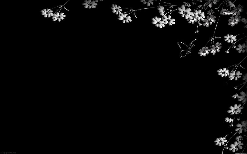 White On Black Backgrounds Black Backgrounds Elegan 2034, latar belakang hitam elegan Wallpaper HD